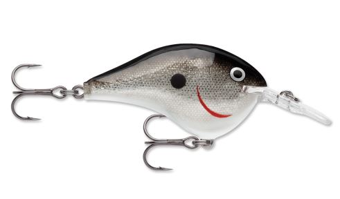 Rapala DT06 S - Silver