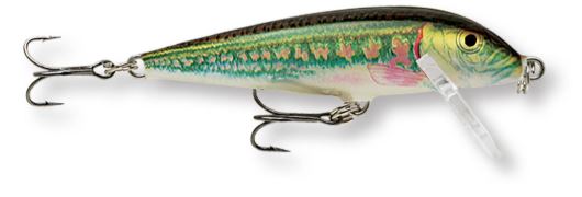 Amostra CD05 Minnow