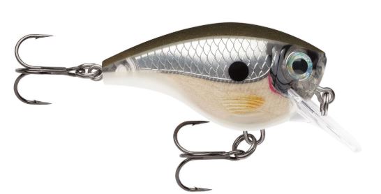 Rapala BX Brat 06 PGS Pearl Grey Shiner