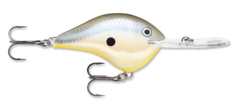 Rapala DT20 Dives-To Disco Shad