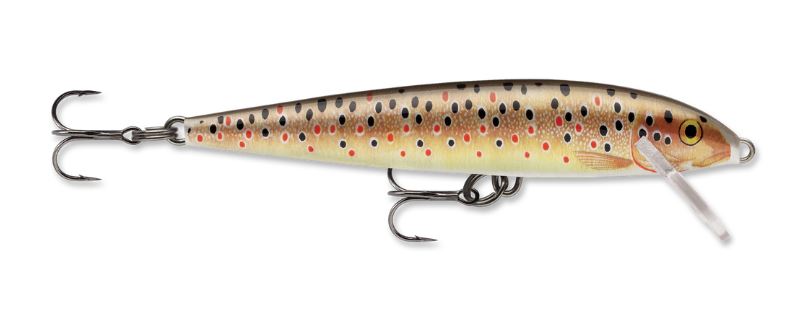 Amostra F09 Brown Trout