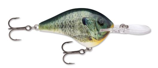 Rapala DT16 BGL - Live Bluegill 