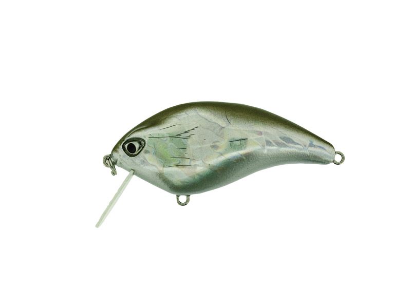 F crank SR 08 silver bait