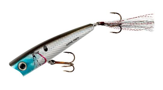 Rebel Super Pop R - ZSS-R Silver Shiner 