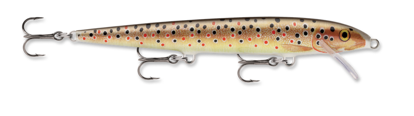 Amostra F11 TR broen trout