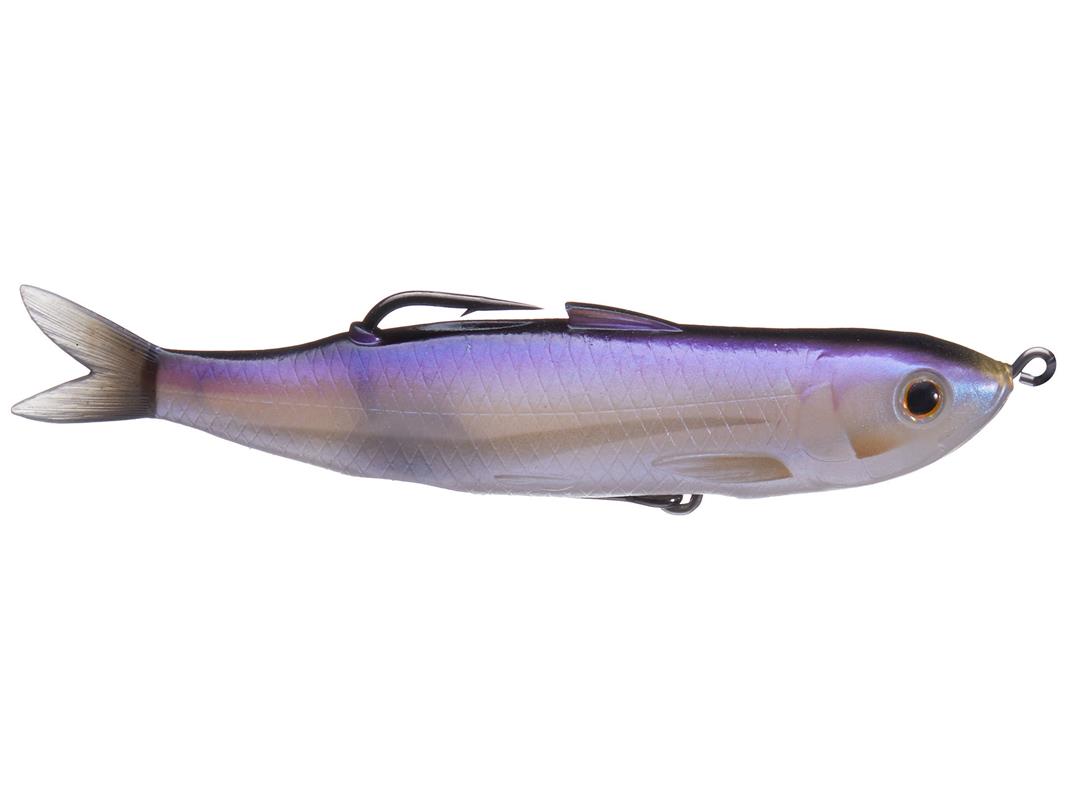 Amostra hollow body shiner Violet Ghost Shiner