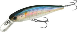 POINTER 100 SP ms american shad