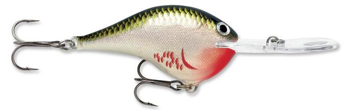 Rapala DT20 Dives-To Bleeding Olive Shiner