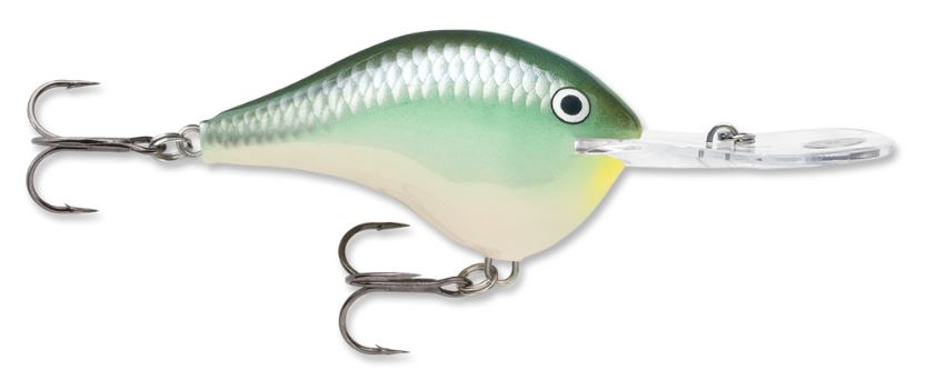 Rapala DT20 Dives-To Blue Back Herring