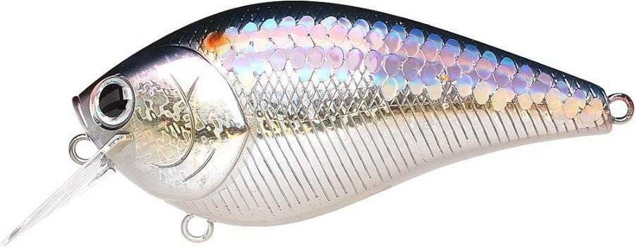 LC 2.5 ms american shad 270