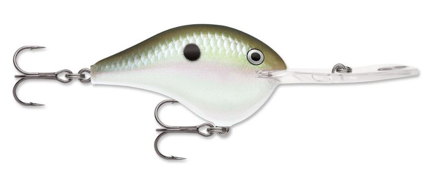 Rapala DT20 Dives-To Green Gizzard Shad