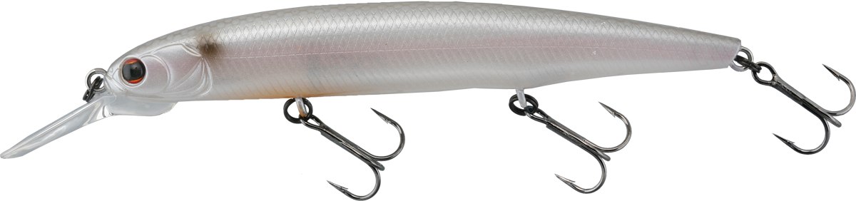 Dardo 100 - 117 Silver Shiner