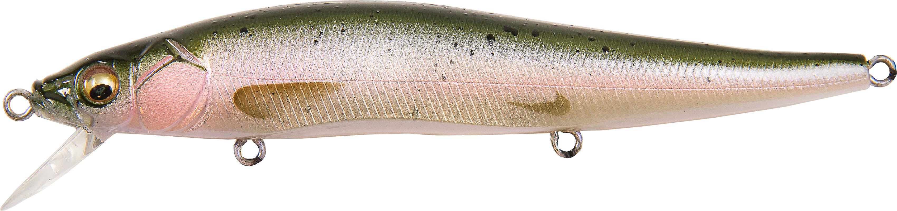 Vision OneTen FW 17 UL Rainbow Trout