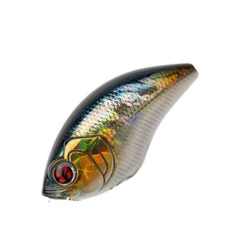 SCB 200F A06 Aurora Minnow