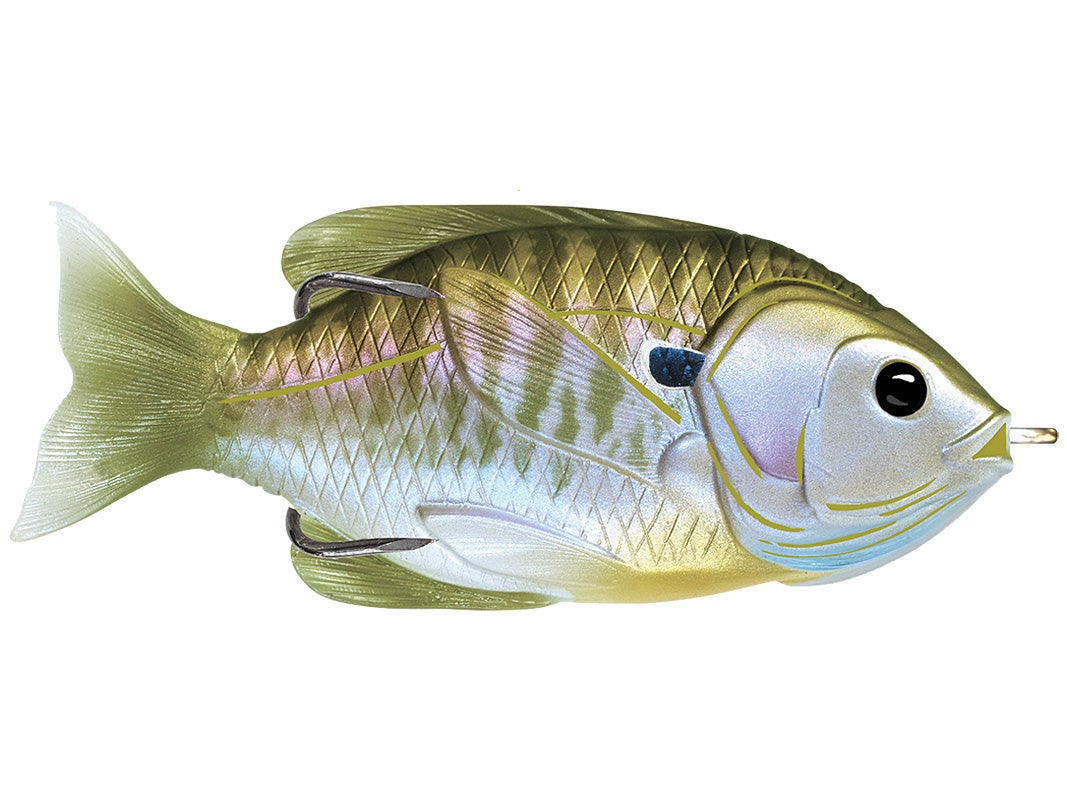 Amostra hollow body sunfish Natural Olive Bluegill