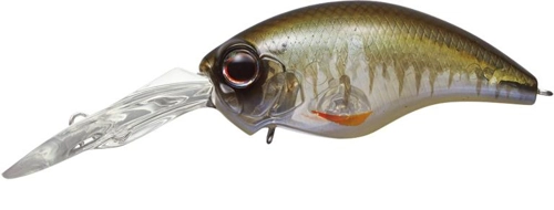 Evergreen Wild Hunch 8 - 270 Skeleton Ketabass