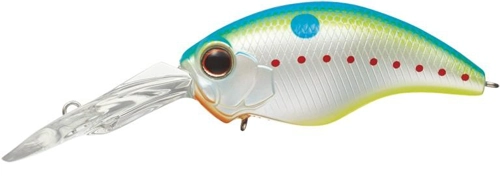 Evergreen Wild Hunch 8 - 271 Champion Shad