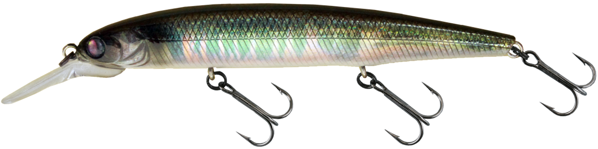 Dardo 100 - 717 3DR Laser Oikawa
