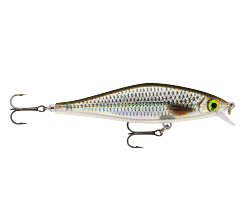 Jerkbait Rapala Shadow Rap Shad - Live Roach