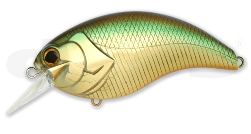 Deps Evoke - 06 Golden Shiner