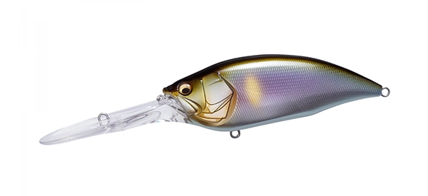 Big-M 7.5 11 PM Setsuki Ayu