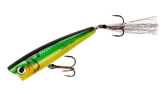 Rebel Super Pop R - ZGS-R Zell's Sun Perch