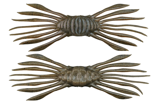 Drift Crab - Kurobenkeigani