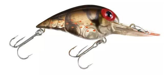 Amostra Wiggle wart V86 Phantom Green Crayfish