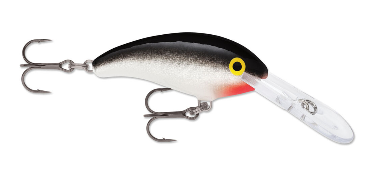 Amostra SDD05 S silver