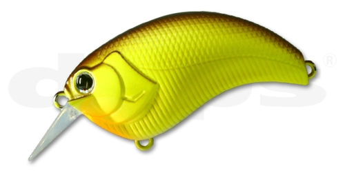 Deps Evoke - 07 Brown Back Chart