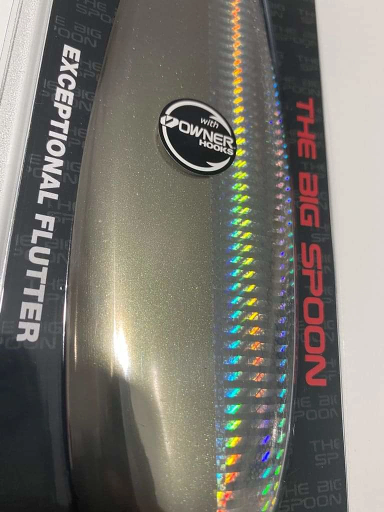 The Big Spoon Silver Alburno