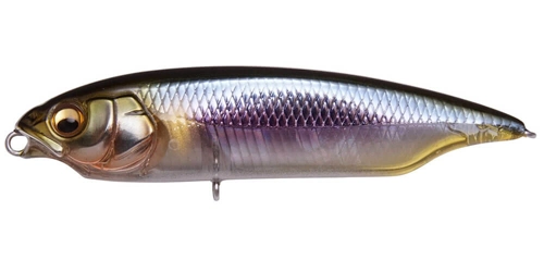 Megabass Karashi - HT Setsuki Chiayu