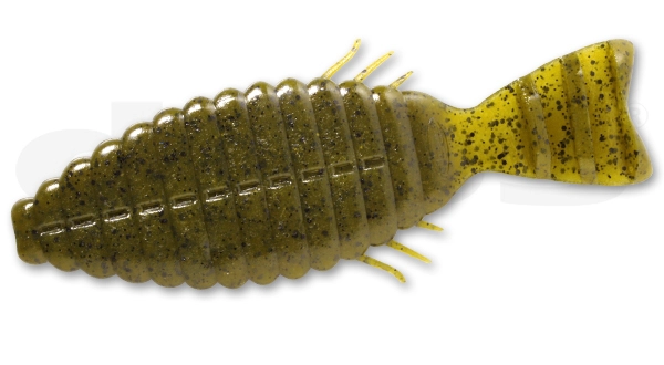 Bull Flat - 12 Green Pumpkin