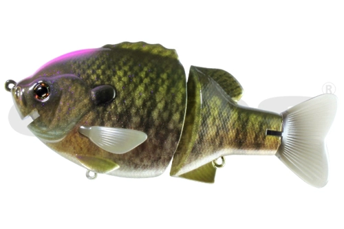 Bullshooter 160 SS Scum Perch  - 15