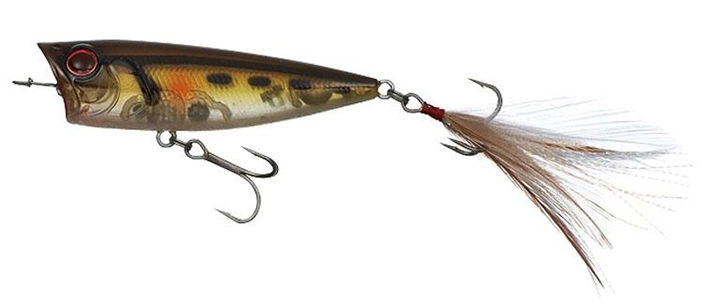 Evergreen One´s bug - 237 Tonosama King