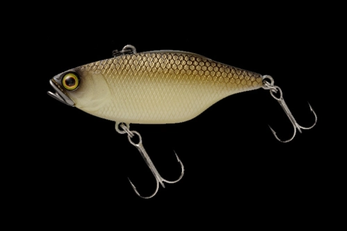 Amostra TN60 Noike Kimbera