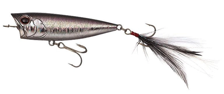 Evergreen One´s bug - 241 Killer Shad