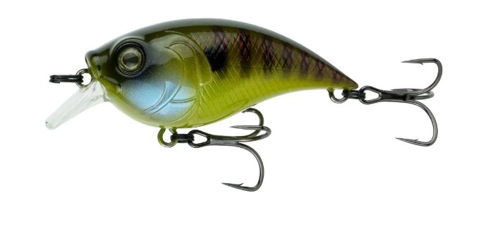 6th Sense Curve Finesse Squarebill - Gilliken