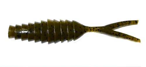 Gambler Komodo - Green Pumpkin