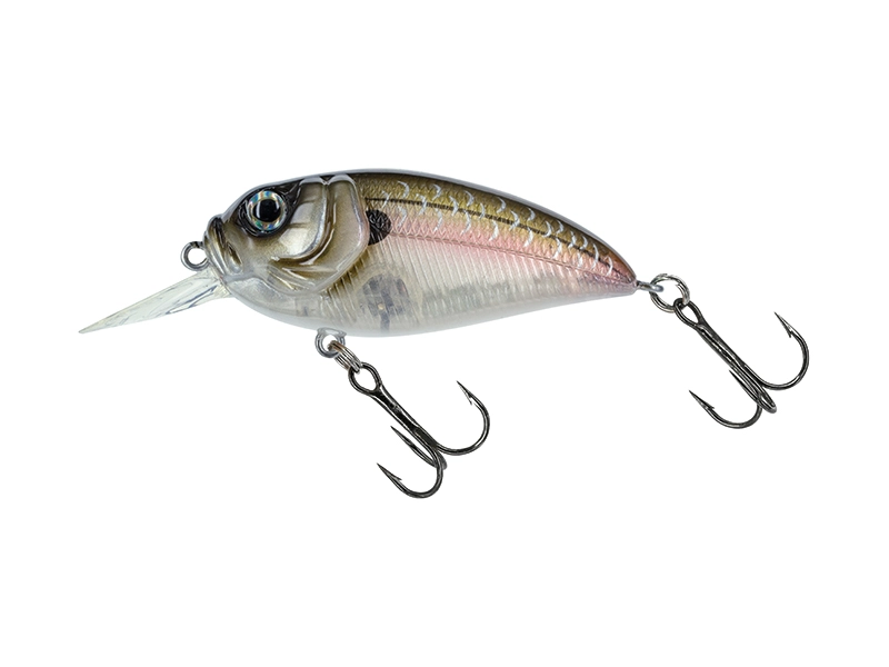 Amostra sculpo MR SCMRR-126 ghost minnow