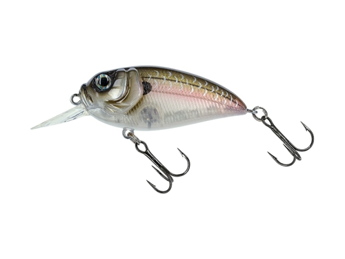 Amostra sculpo MR SCMRR-126 ghost minnow