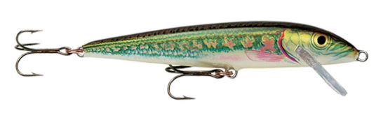 Amostra F07 Minnow