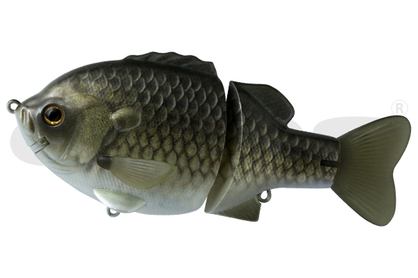 Bullshooter 160 SS Gold Fish - 13