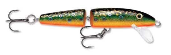 Amostra J09 Brook Trout