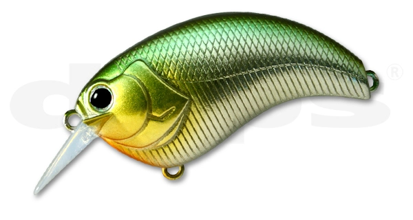 Deps Evoke - 01 Ketabass