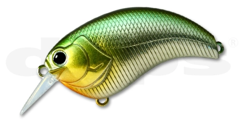 Deps Evoke - 01 Ketabass