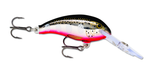 Amostra SDD05 SFL silver flash