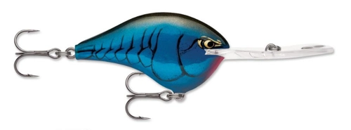Rapala DT20 Dives-To Bruised