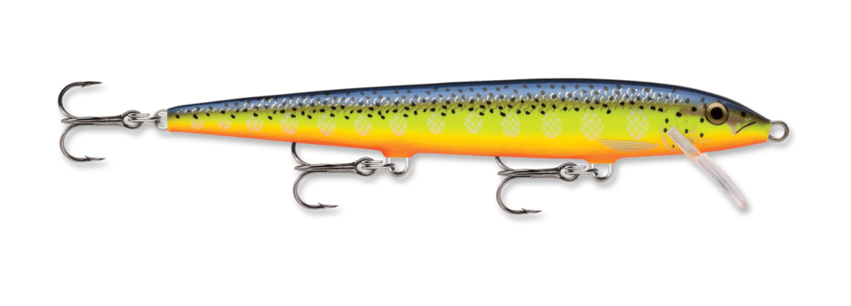 Amostra F11 HS hot steel