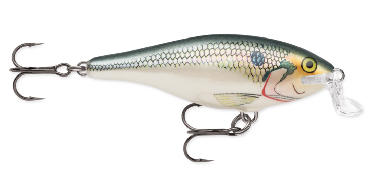 Rapala Shallow Shad Rap - SD Shad
